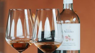 Lucca: Wine Tasting Experience - Tenuta Adamo Winery