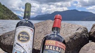 Dégustation de vins et visite de la Bodega Donozo Berlanga