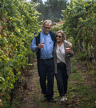 Dégustation de vins sélectionnés à la Quinta de Santa Cristina