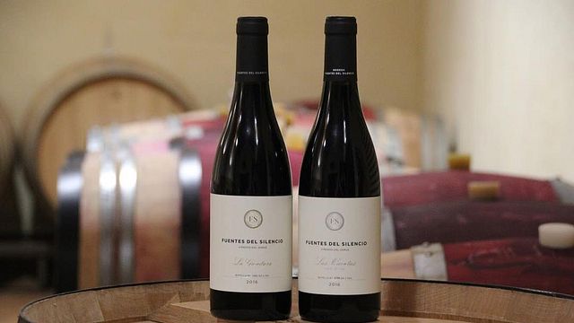 Fuentes Del Silencio Winery