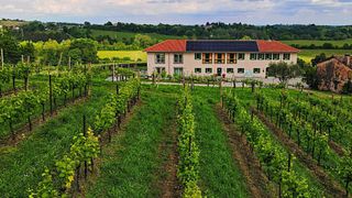 Degustação de Prosecco e Amarone: Obras-primas do vinho da região de Veneto 