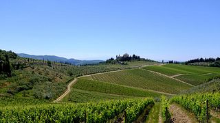 Chianti, randonnée à travers le pays du vin !