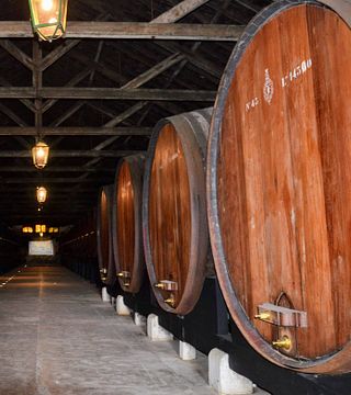 Visitas turísticas del sur de Lisboa y cata de vinos