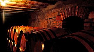 Degustazione di vini e tour presso Wine Cellars, Co.