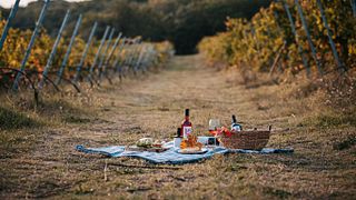 Wine tasting of Lake Trasimeno wine (1 glass) with local pairings at Cantina Di Colle