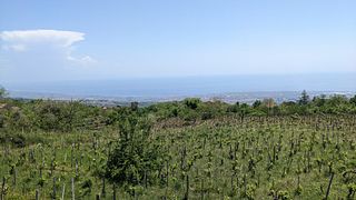 Etnella di Davide Bentivegna