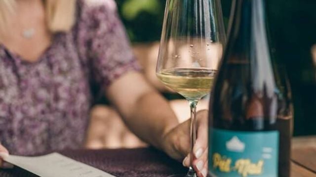 Dégustation de vins et visite populaires au domaine viticole de Tsarev Brod
