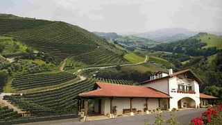 Weinprobe und Tour im Talai Berri Txakolina