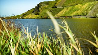 Weingut Geierslay