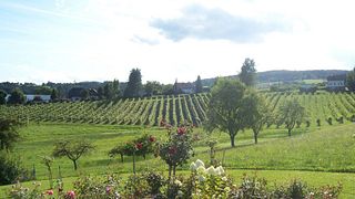 Weingut Trapl