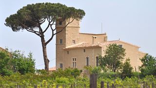Wine Tasting and Tour at Famille Valery