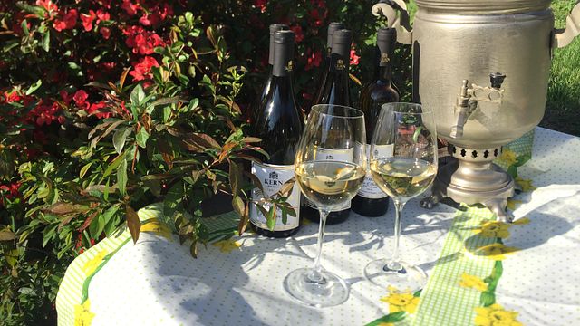 Kern Winery