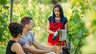 Degustazione di vini e tour presso Schuchmann Wines Chateau, Villas & Spa