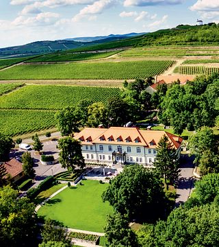 Três décadas de vinhos Aszú