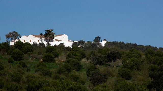 Azamor Wines