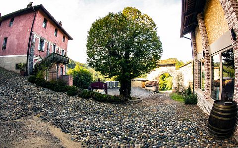 B&B La Carosera - Centovigne - Château de Castellengo