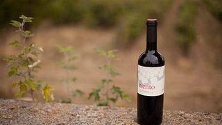 Degustazione e visita di vini popolari a Bodegas Y Viñedos La Mejorada