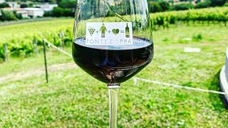 Agroforestale Fontezoppa