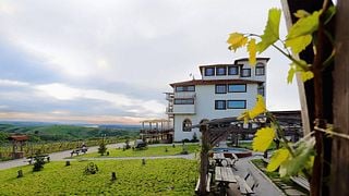 Seven Generations Winery