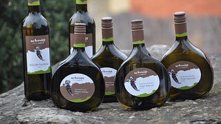 Franken Wine & Vineyard Discovery Tour