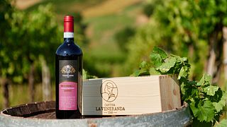 Tour e Degustazione Vini Rossi presso La Veneranda