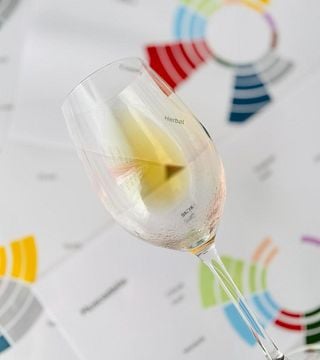 Bordeaux Organic and Biodynamic Wine tasting