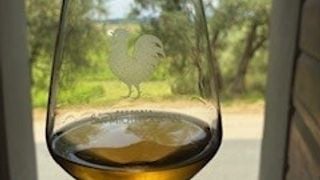 Visita guiada e degustação de vinhos brancos orgânicos IGT da Toscana