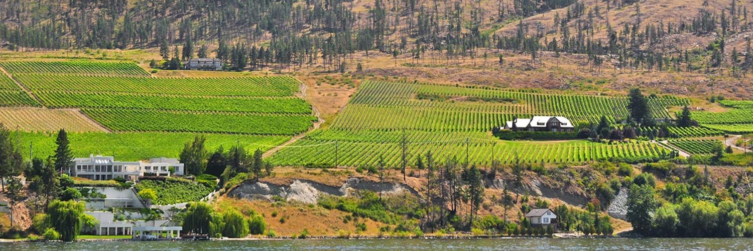 Niagara Peninsula Wine Region