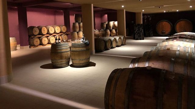 Degustação de vinhos e tour em Agricola Ladogana