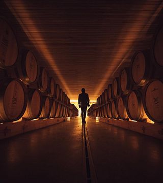 Dégustation de vins et visite de la cave Viña Vik