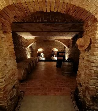 Ca 'D Tantin Organic Wines