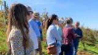 Experiência de degustação de comida e vinho em Camporeale 