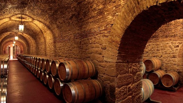 Dégustation de vins et visite des Bodegas Riojanas