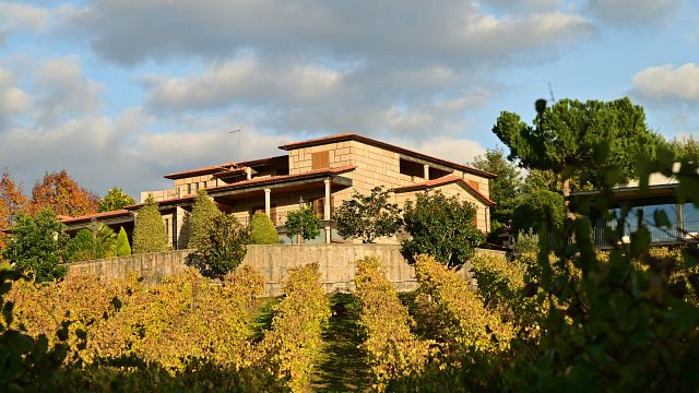 Silvi’s Tapas & Wine Tasting at Sapateiro Boutique Winery