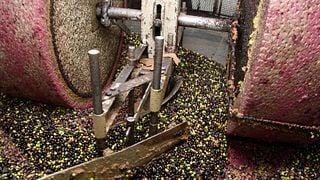 Diadema Wine & Evo