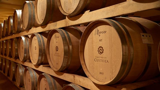Degustação de vinhos e tour na Cantina di Custoza