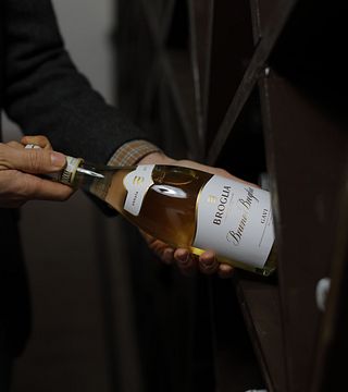 Vins primés | Broglia