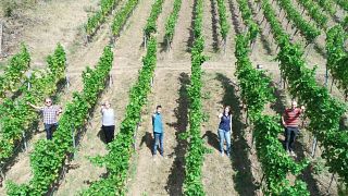 Weingut & Edelbrennerei Gemmrich