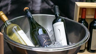 Cata de vinos y visita a la bodega Pulenta Estate