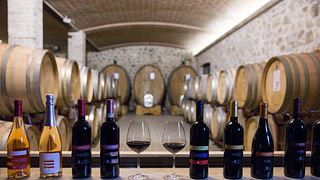 Tuscan Vineyard Tour & Premium Wine Tasting