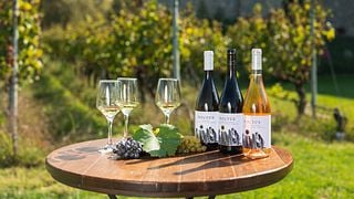 Degustazione di vini nei vigneti della cantina Liakou