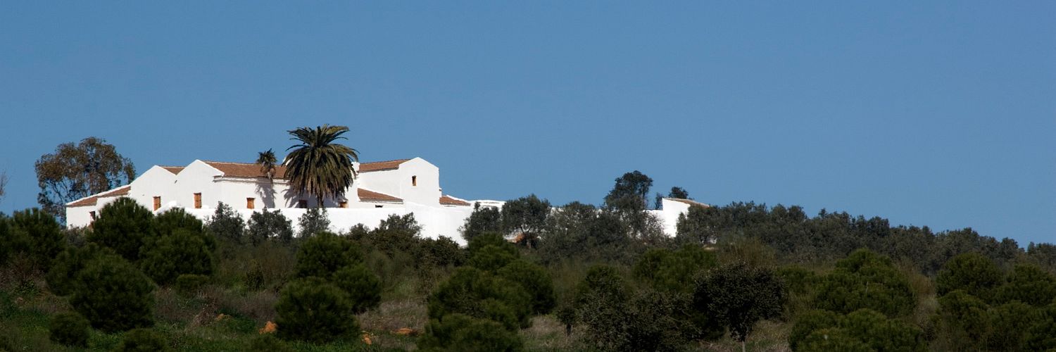 View Of AZAMOR Winery