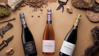 Degustazione di vini tradizionali a Bodegas Sumarroca