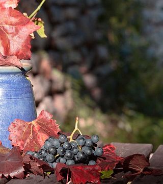 Degustazione di vini e visita alla Queen's Winery House
