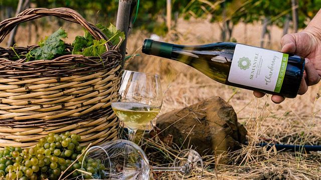 Heroic Vineyards at 1200 meters in the Nebrodi Mountains: High Mountain Sparkling Wines and Sicily's Unusual Terroir