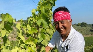 Savor 5 Organic Tuscan Wines with Pasta Lunch