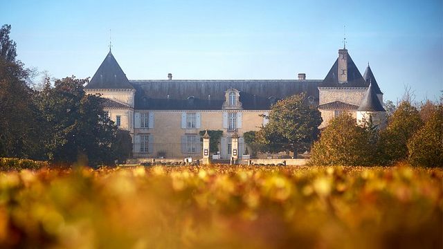 Upptäck aromerna av Sauternes på Château Suduiraut