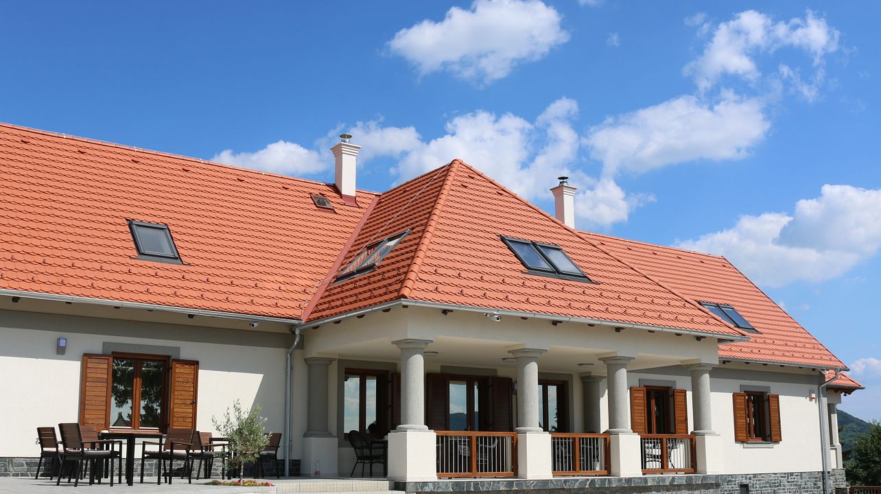 Vinprovning på Villa Tolnay Borhaz