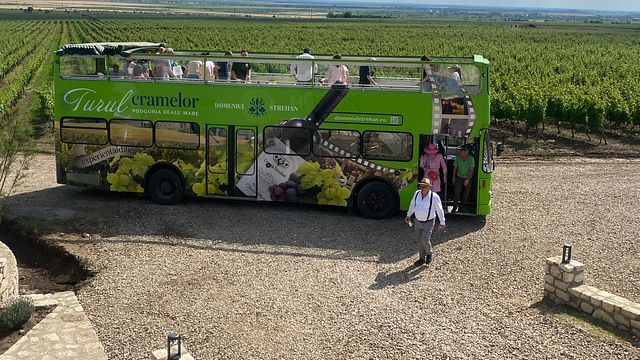 Degustazione di vini e abbinamenti gastronomici nel cuore del vigneto di Strehan Estate