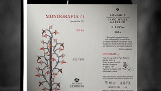 Taste Organic Emilia-Romagna Wines on a Cellar Tour